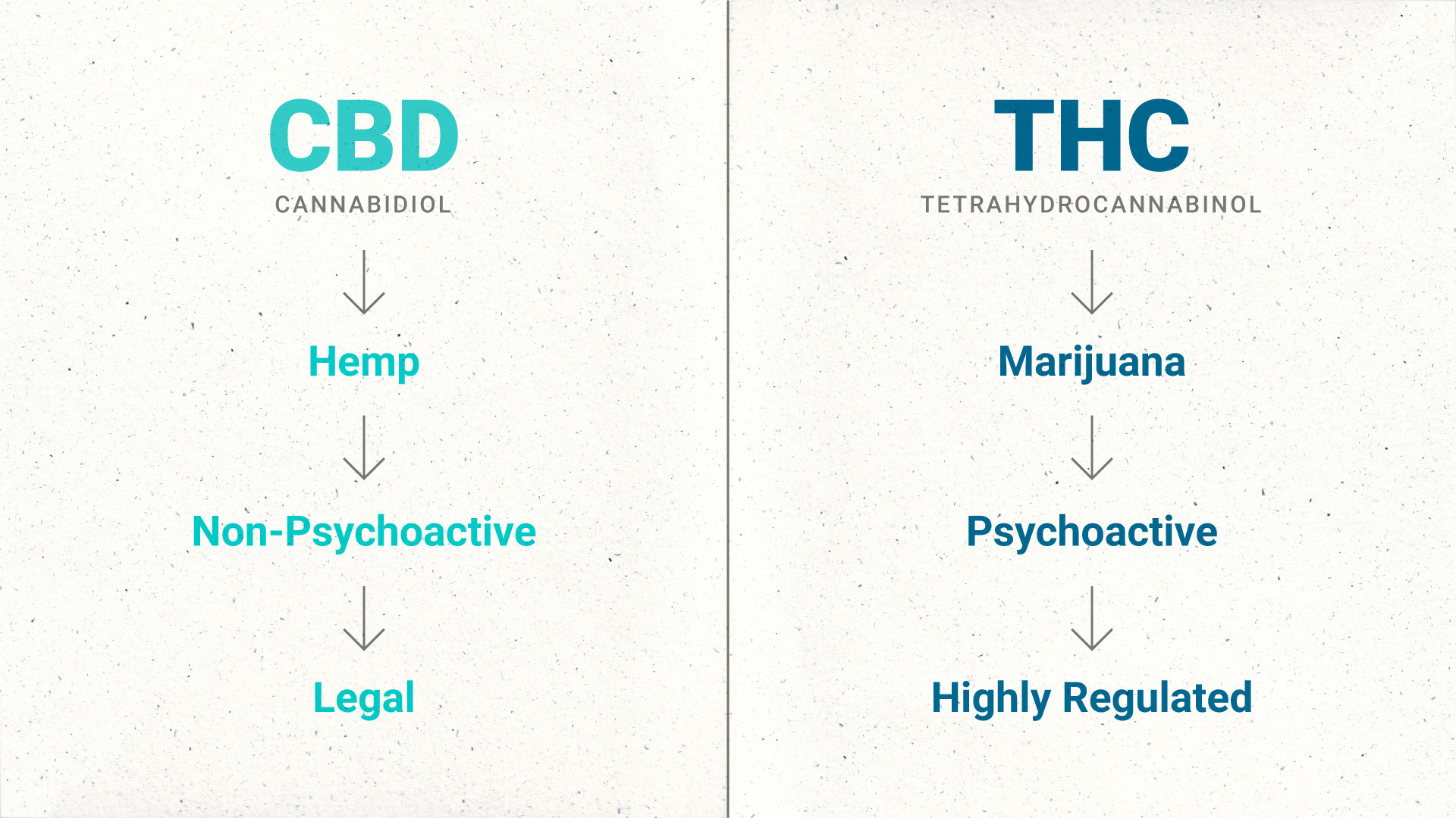 cbd thc comparison